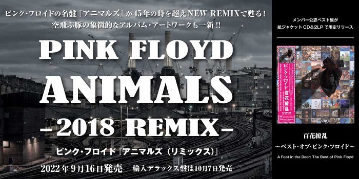 CHAI アナログレコード PINK 初期プレス限定版 ソニーミュージック
